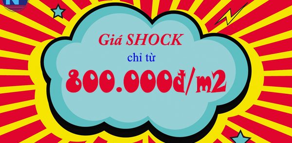 cửa nhựa lõi thép giá rẻ